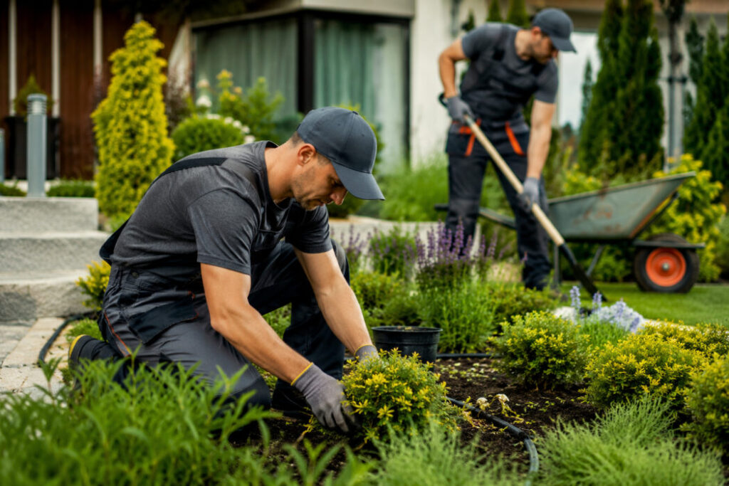 Seasonal Garden Work