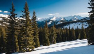 Evergreens