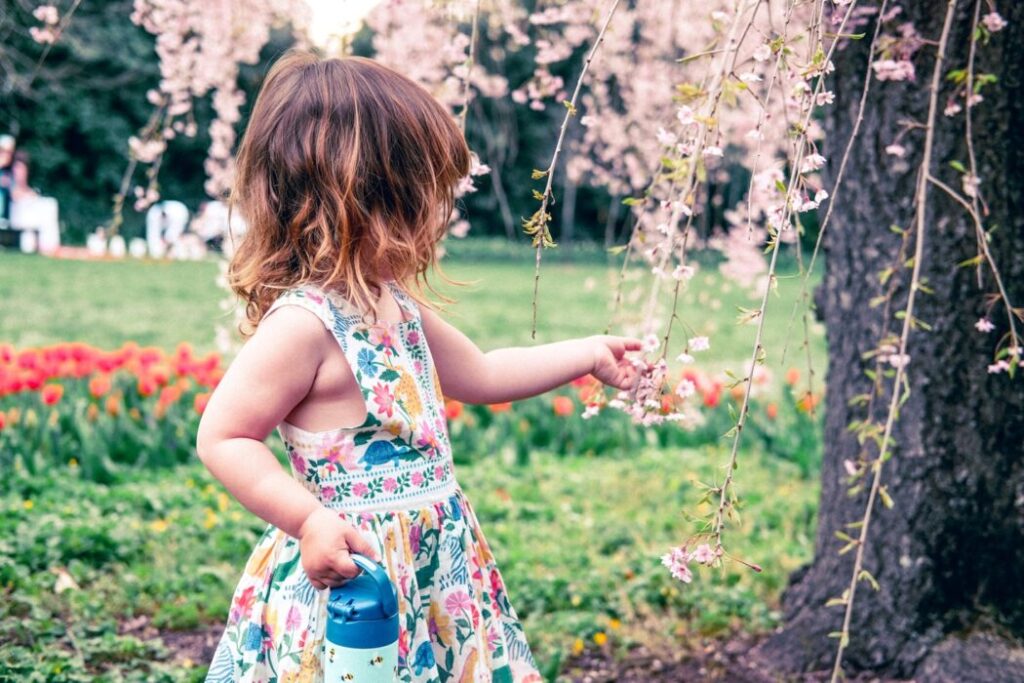 plants for a Kid-Friendly Garden